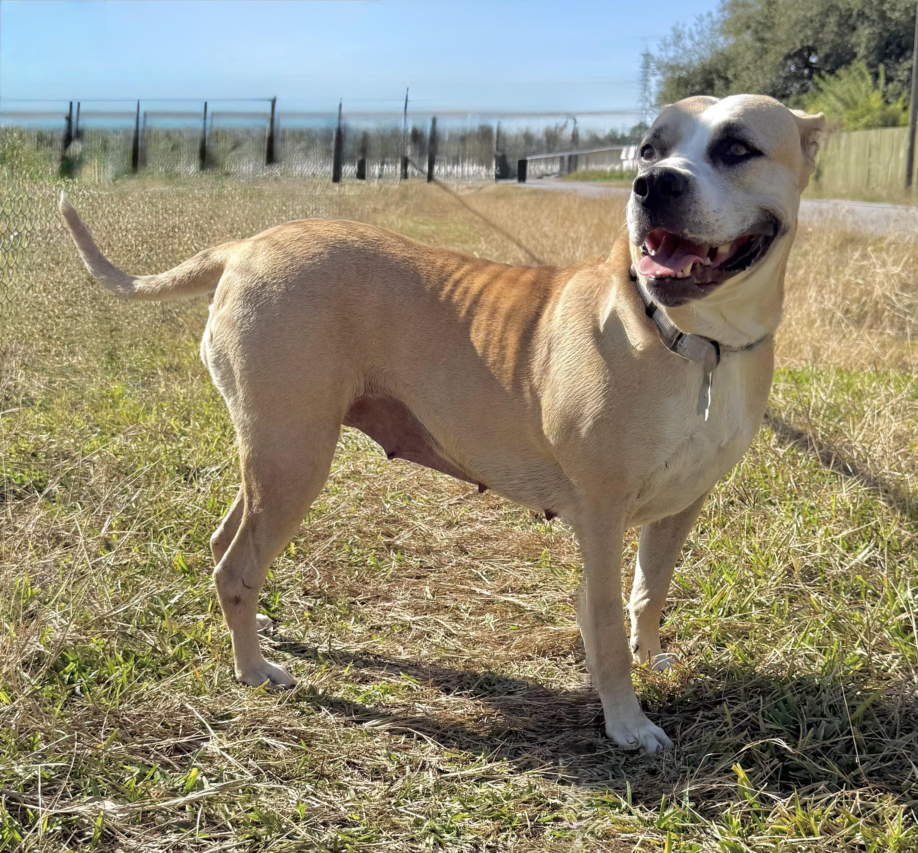 Wynn — thumbnail 2