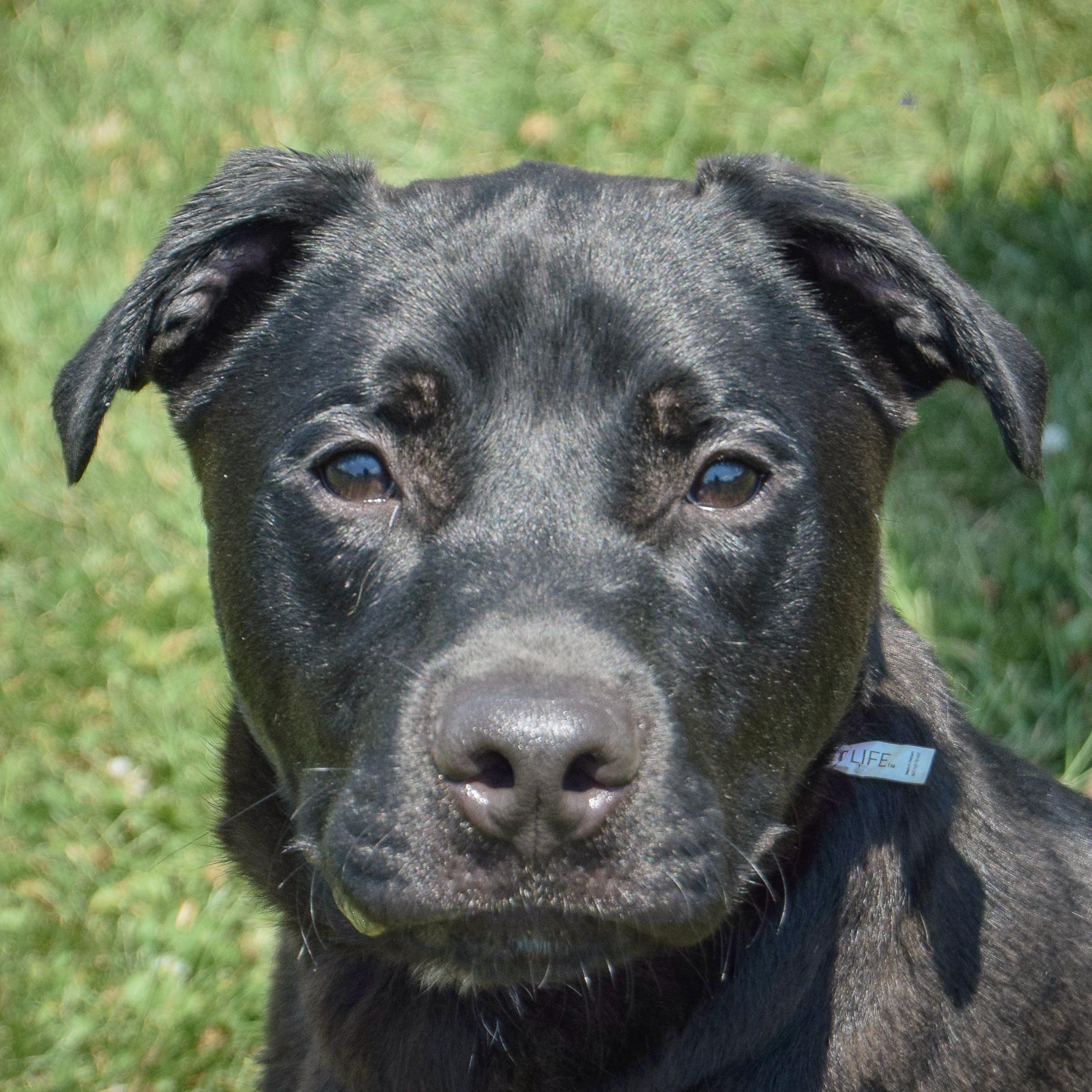 Luigi, Young Male unknown
