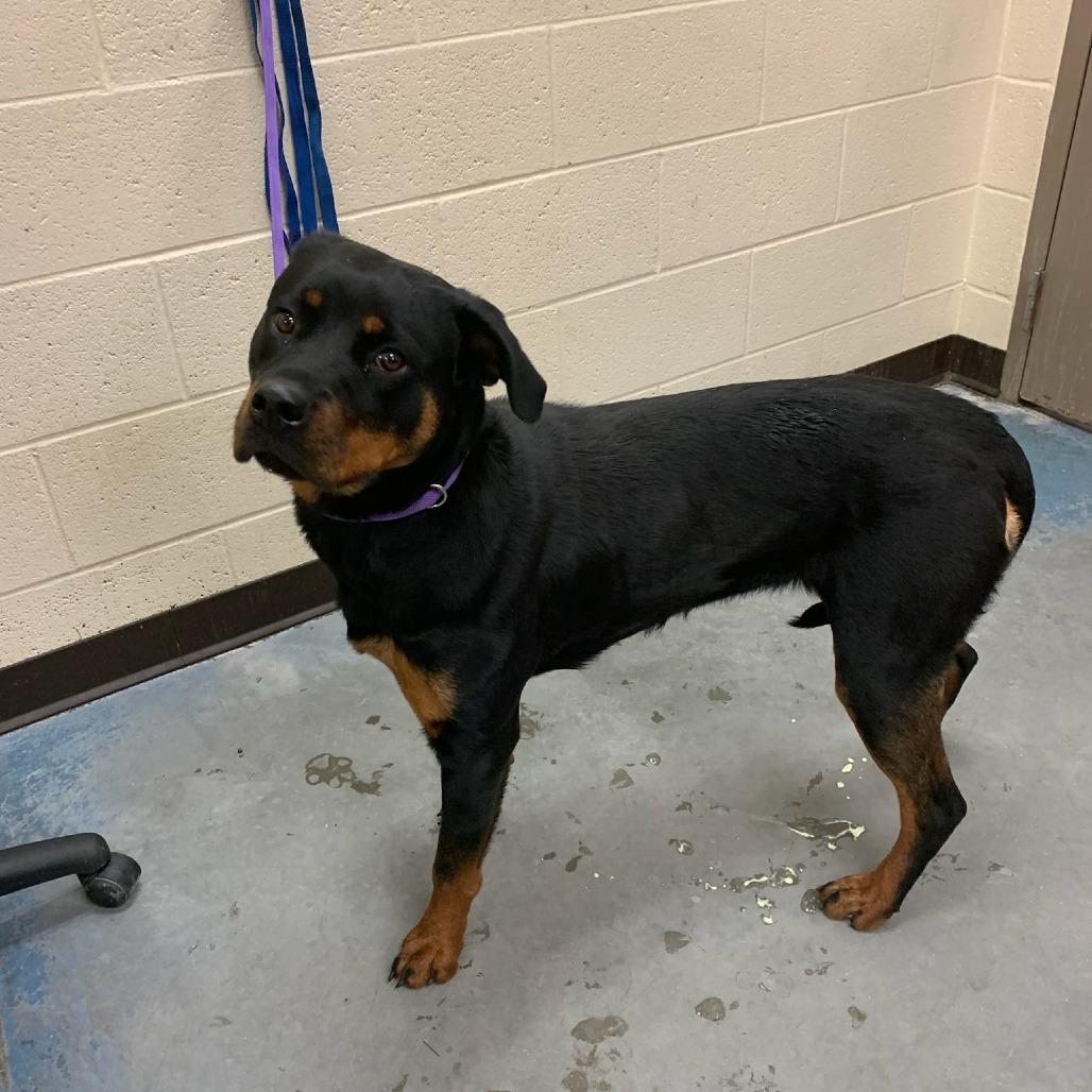 Charity — thumbnail 2