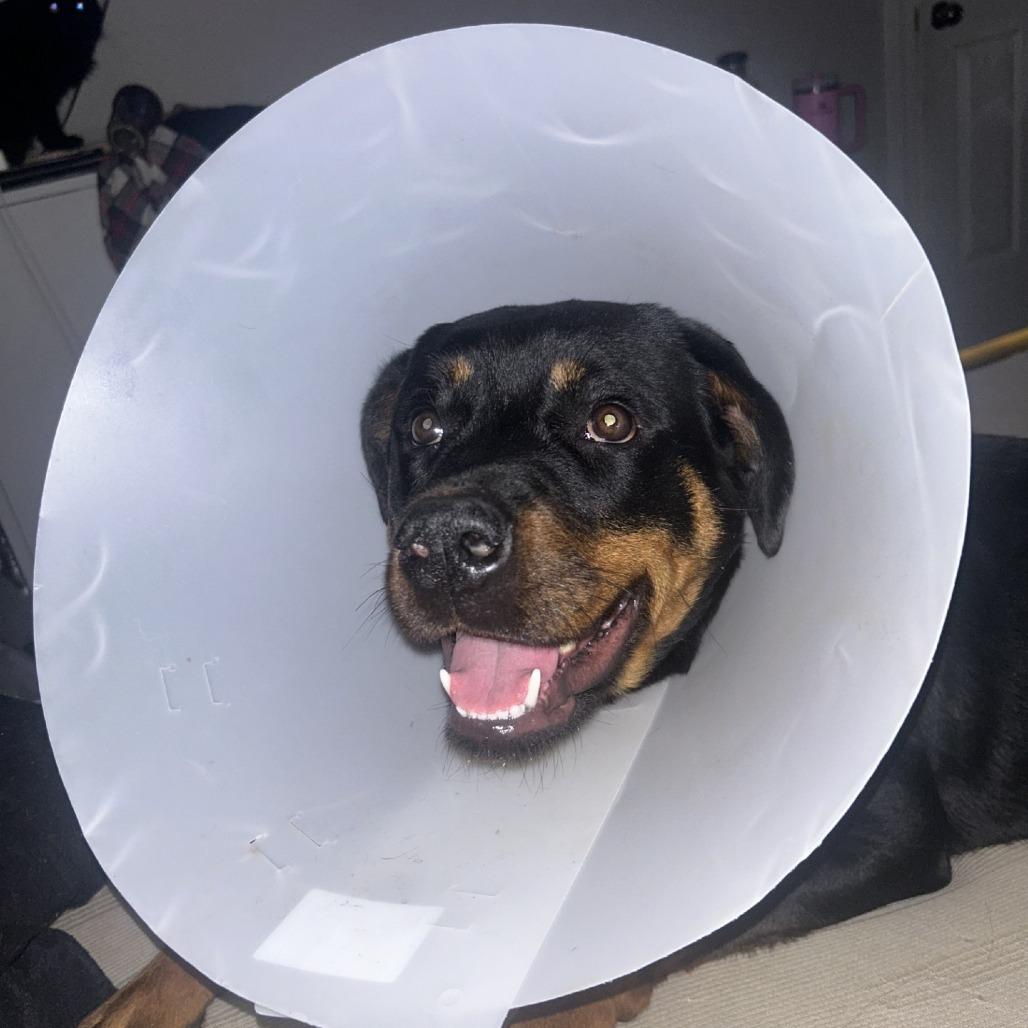 Charity — thumbnail 3