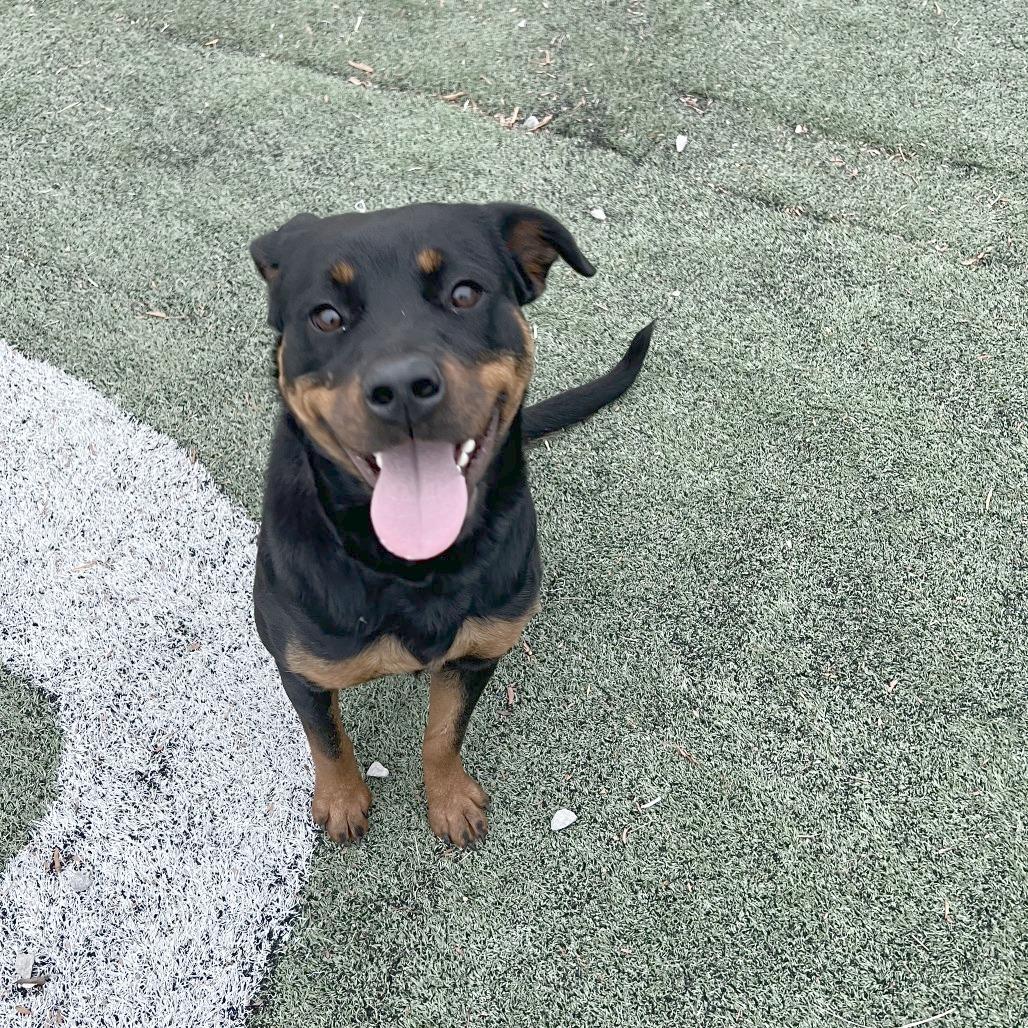 Charity — thumbnail 4