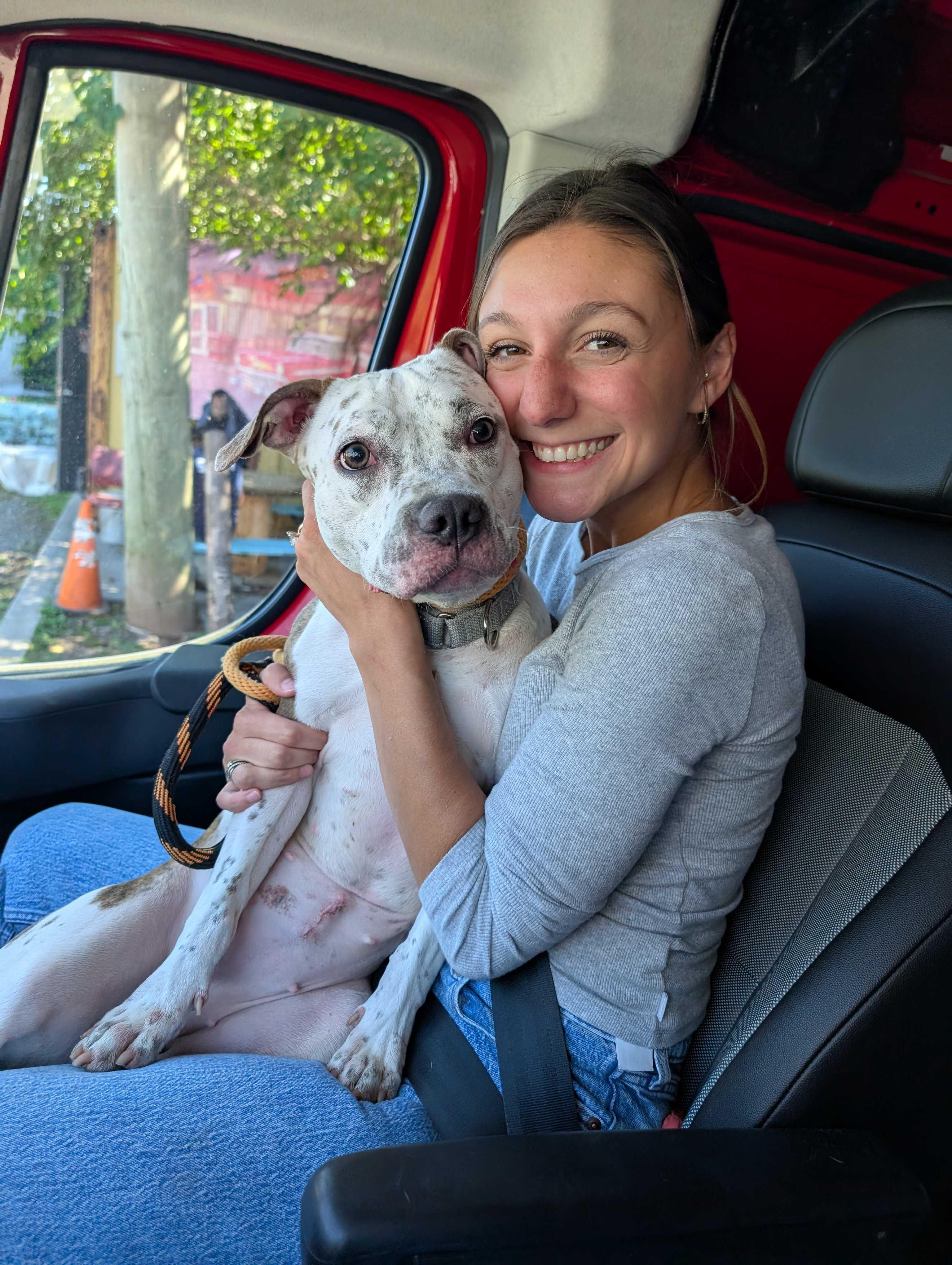 Lola, a Adoptable mixed breed in Lafayette, NJ image 4/4