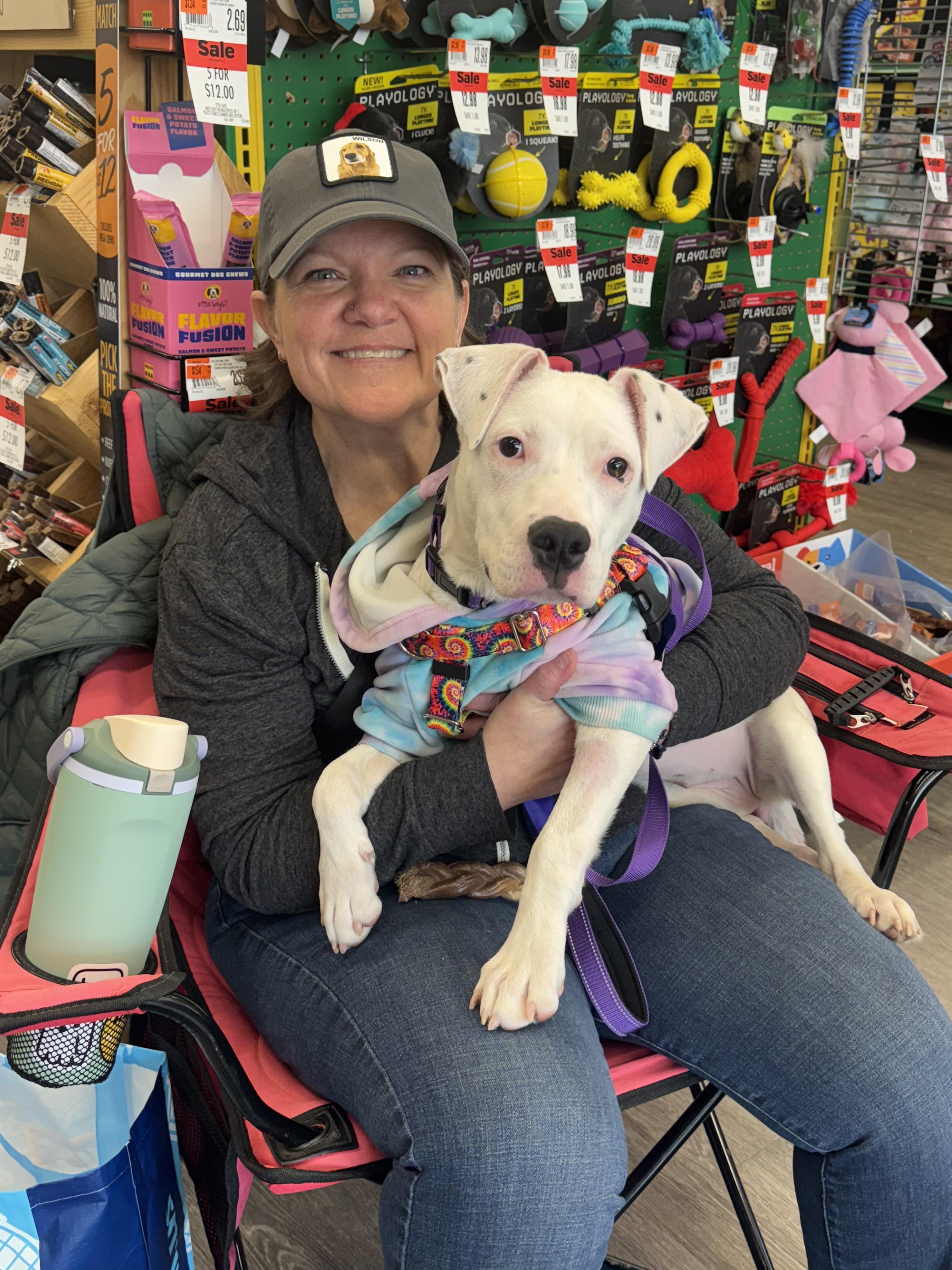 Enlarge Ophelia, a Adoptable mixed breed in Troy, MI image 5/6