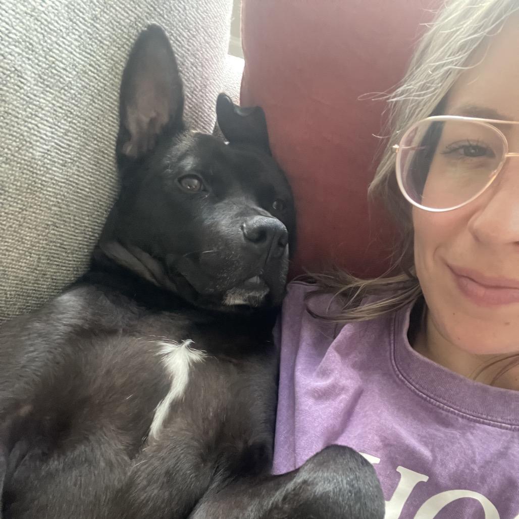 Enlarge George, a Adoptable Pit Bull Terrier in Chicago, IL image 6/6