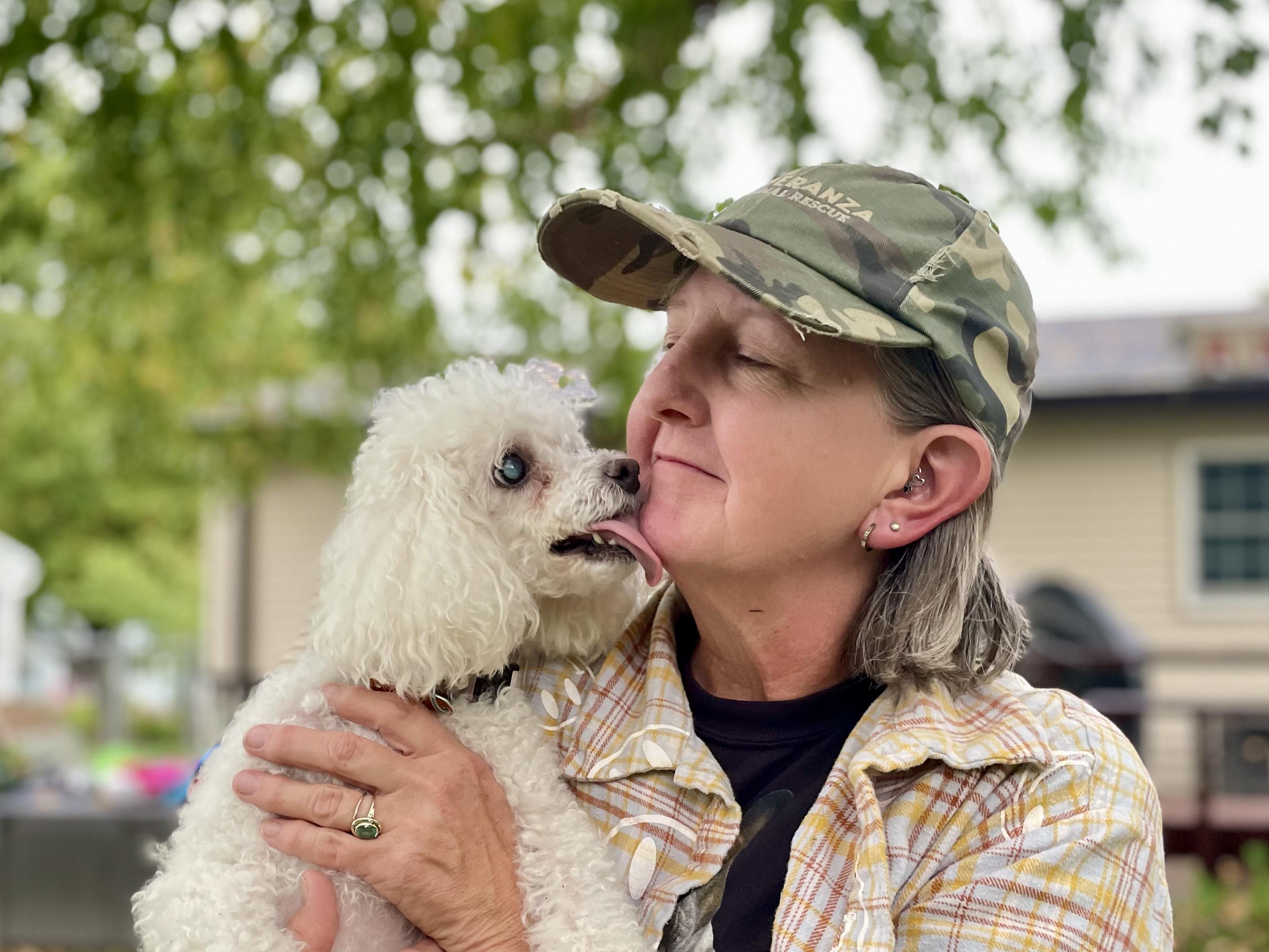 Enlarge Sassy, a Adoptable Miniature Poodle in Mechanicsburg, PA image 4/5
