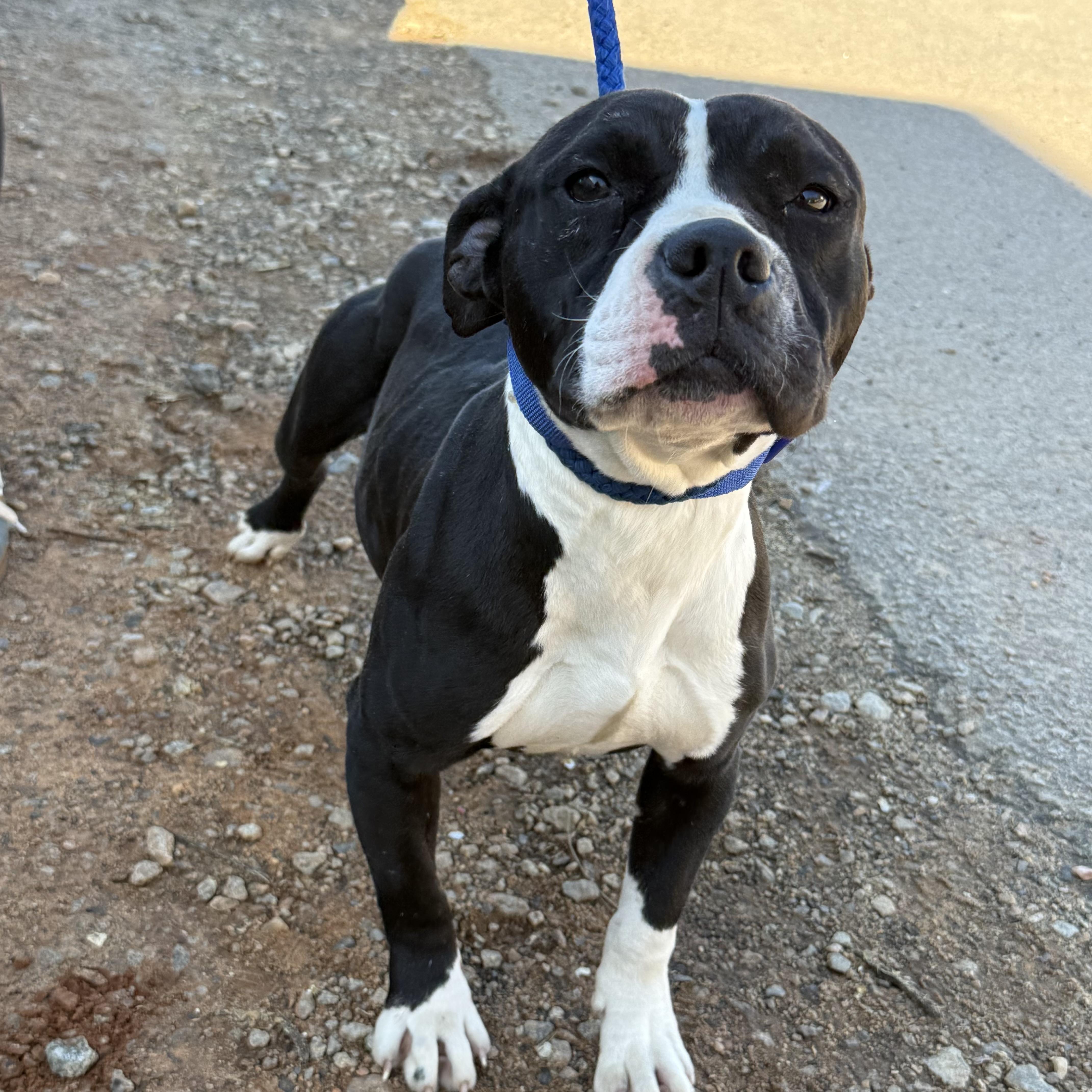 Spring — thumbnail 2