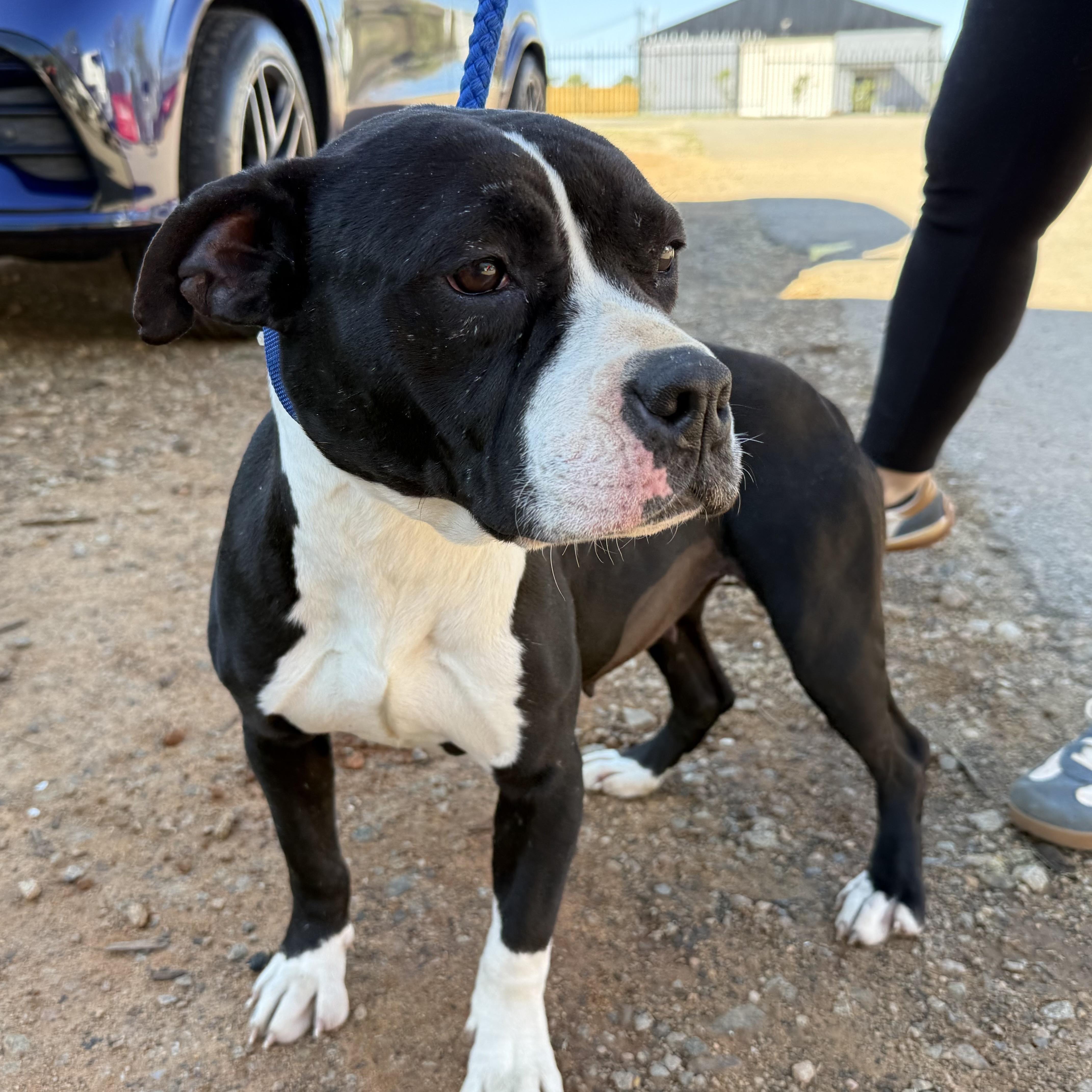 Spring — thumbnail 3