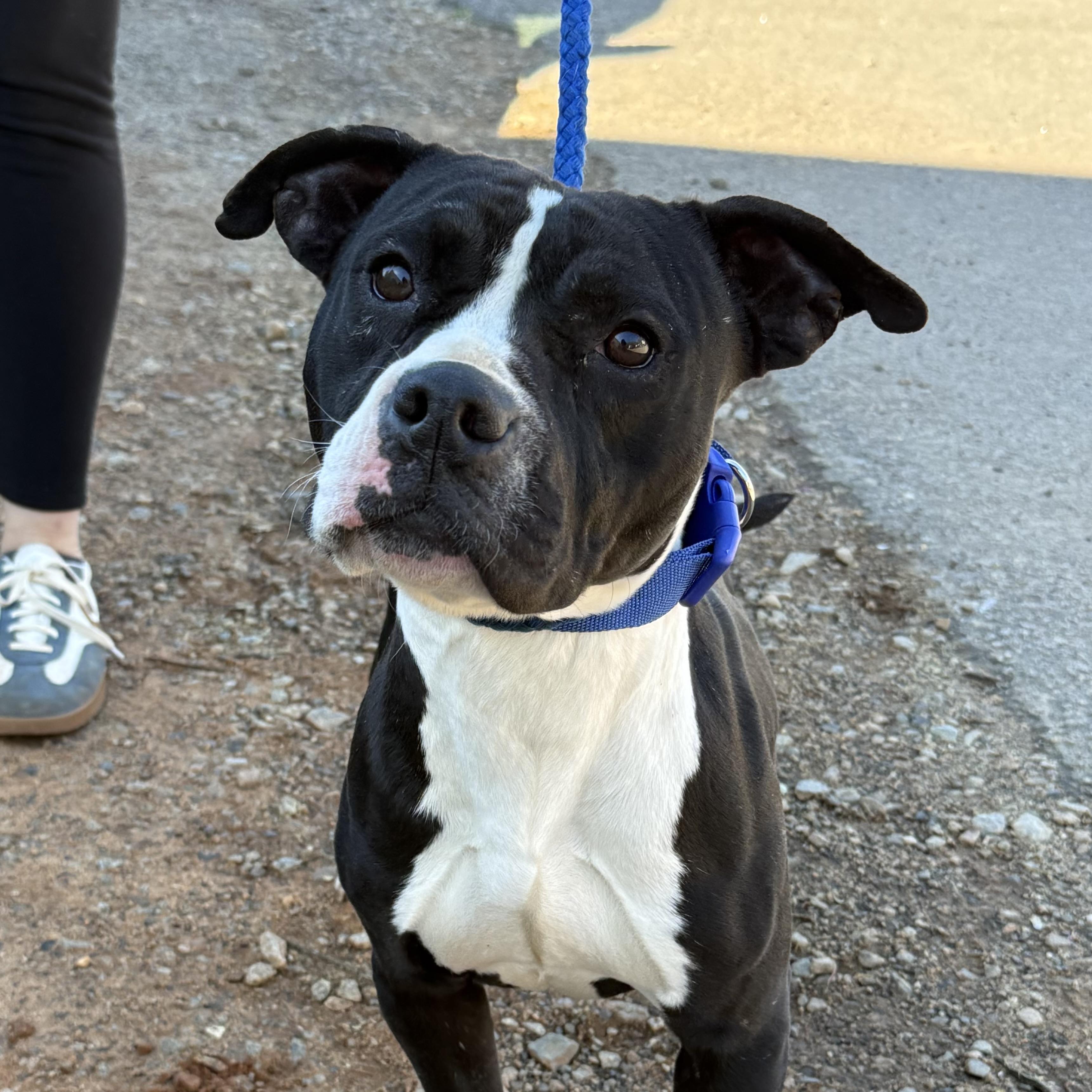 Spring — thumbnail 4