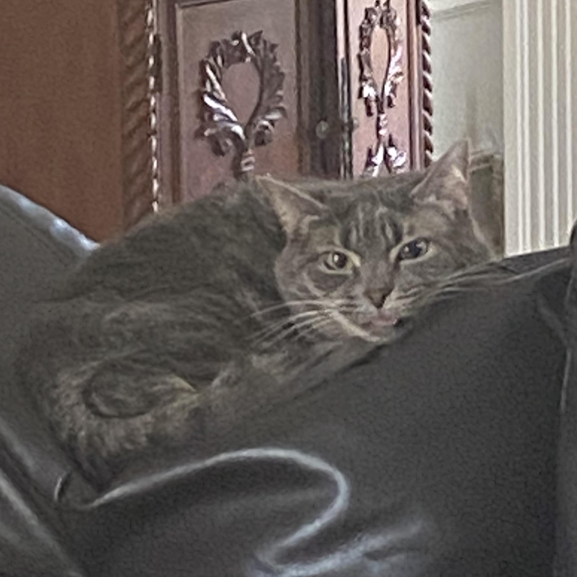 Stormy Lynne thumbnail 3