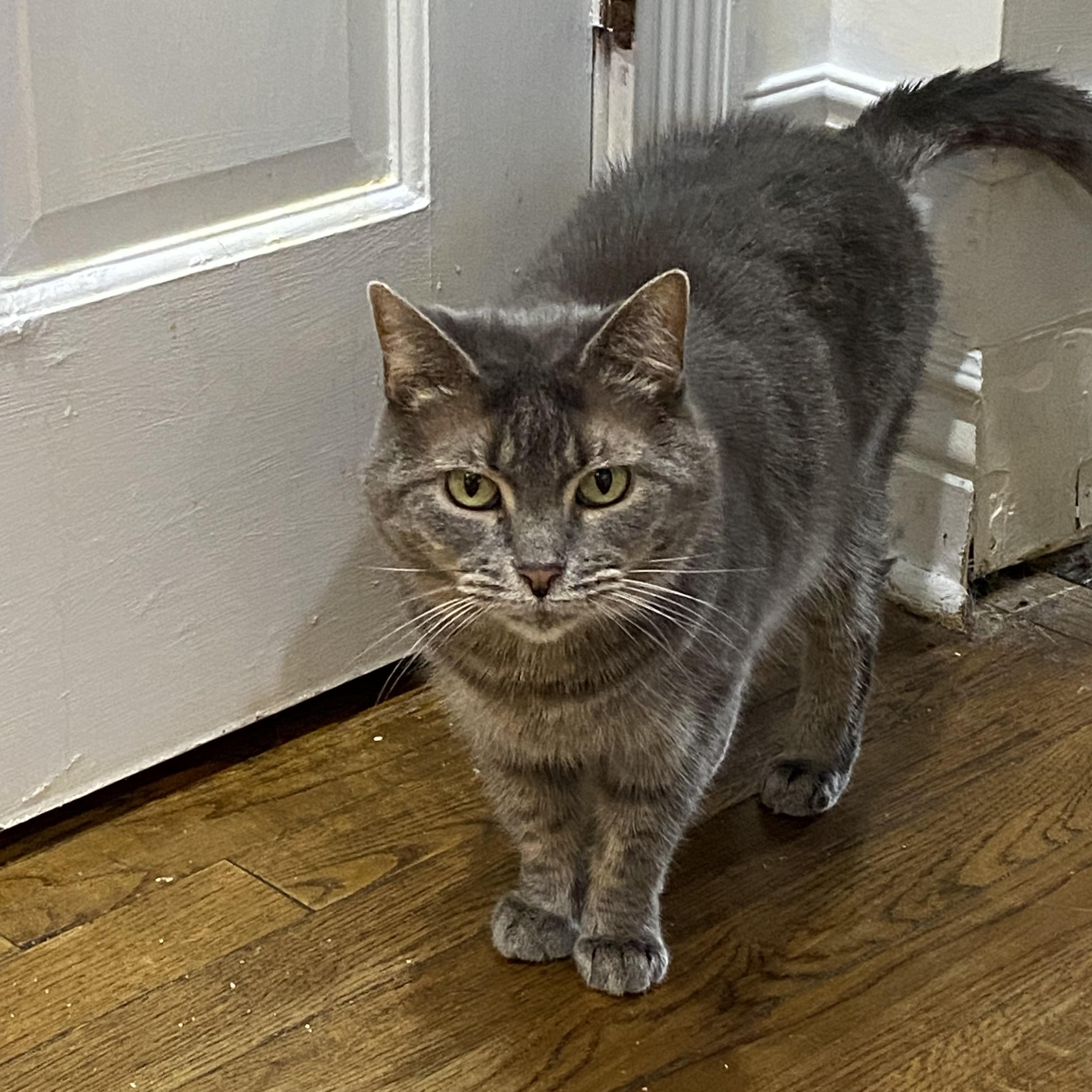 Stormy Lynne thumbnail 4