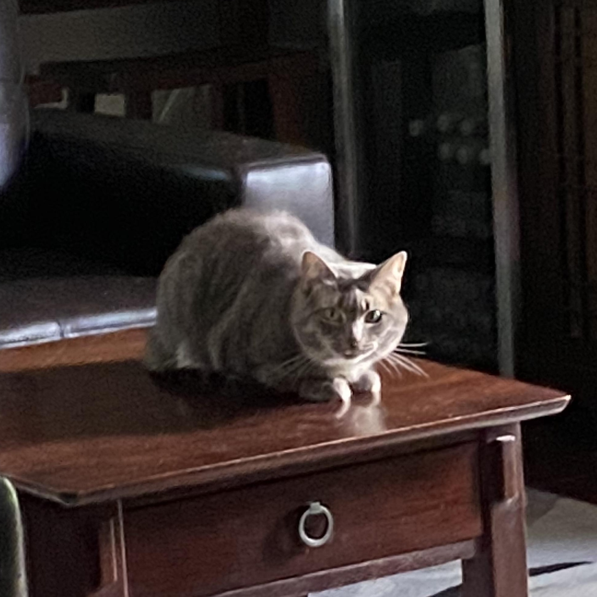 Stormy Lynne thumbnail 5