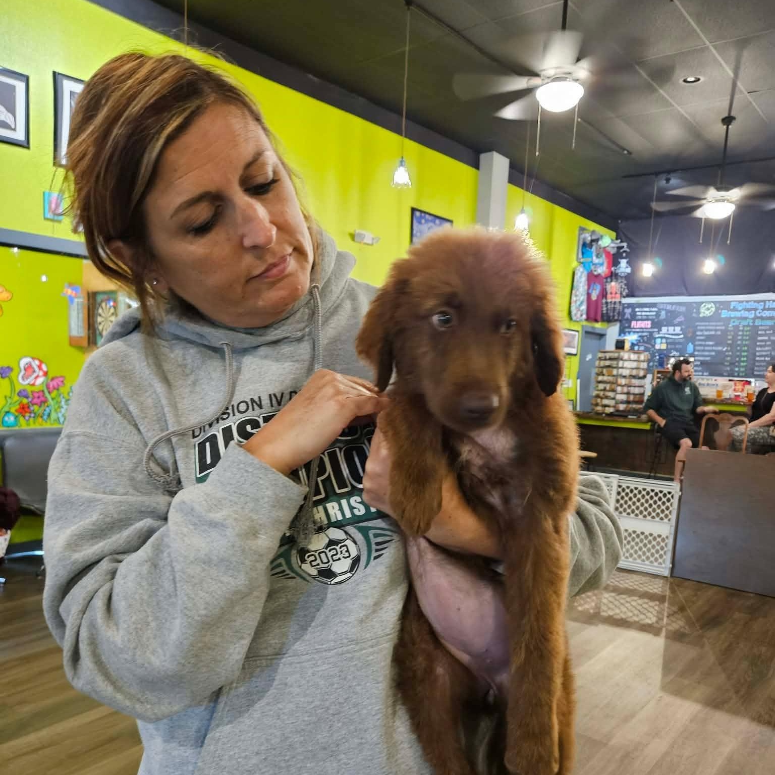 Robyn, adopted, Puppy Female Labrador Retriever.