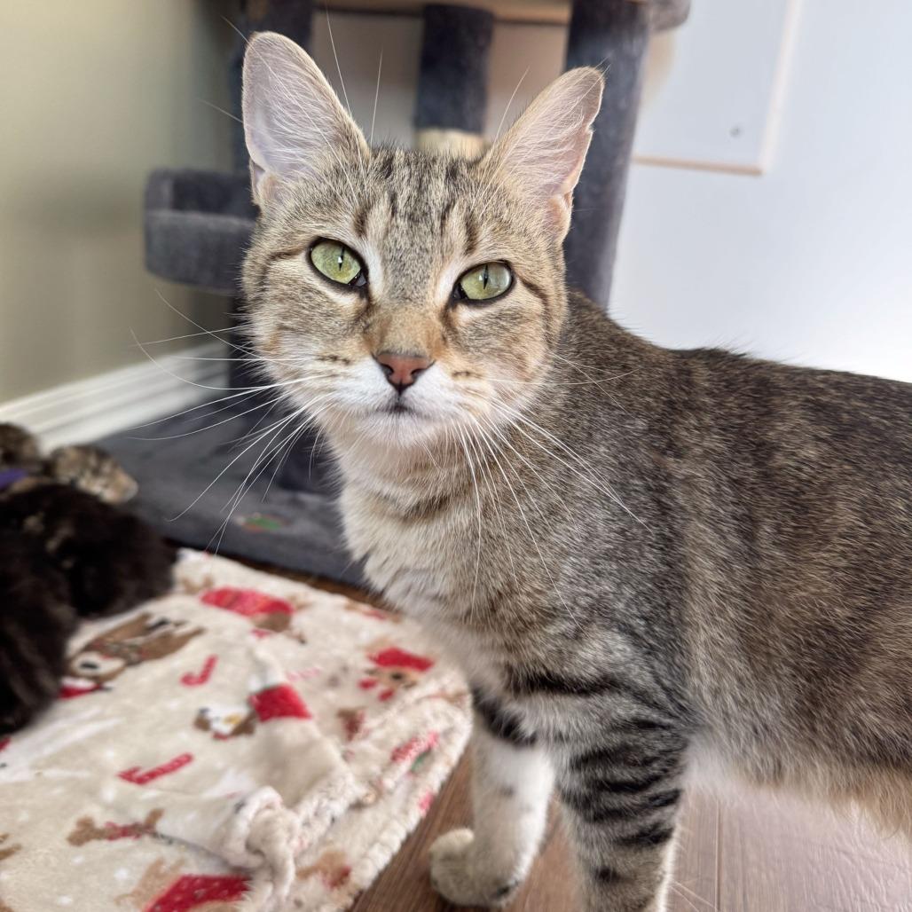 Winnie C12105 photo
