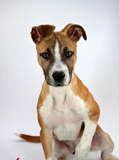 Jane — thumbnail 2