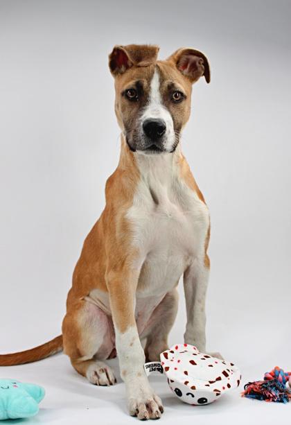 Jane — thumbnail 3