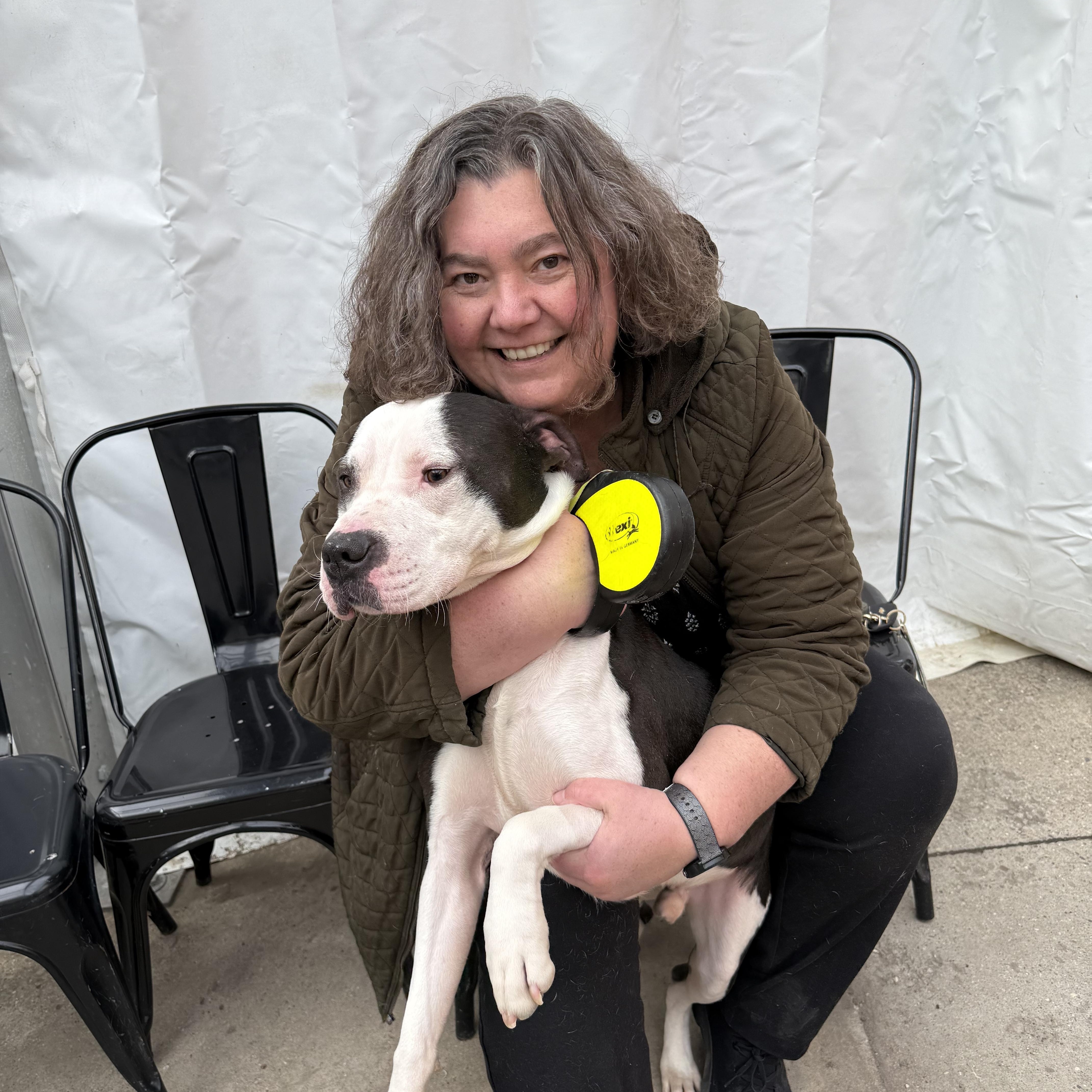 Enlarge Matthew, a ADOPTABLE Mixed Breed in Pleasant Ridge, MI image 5/5