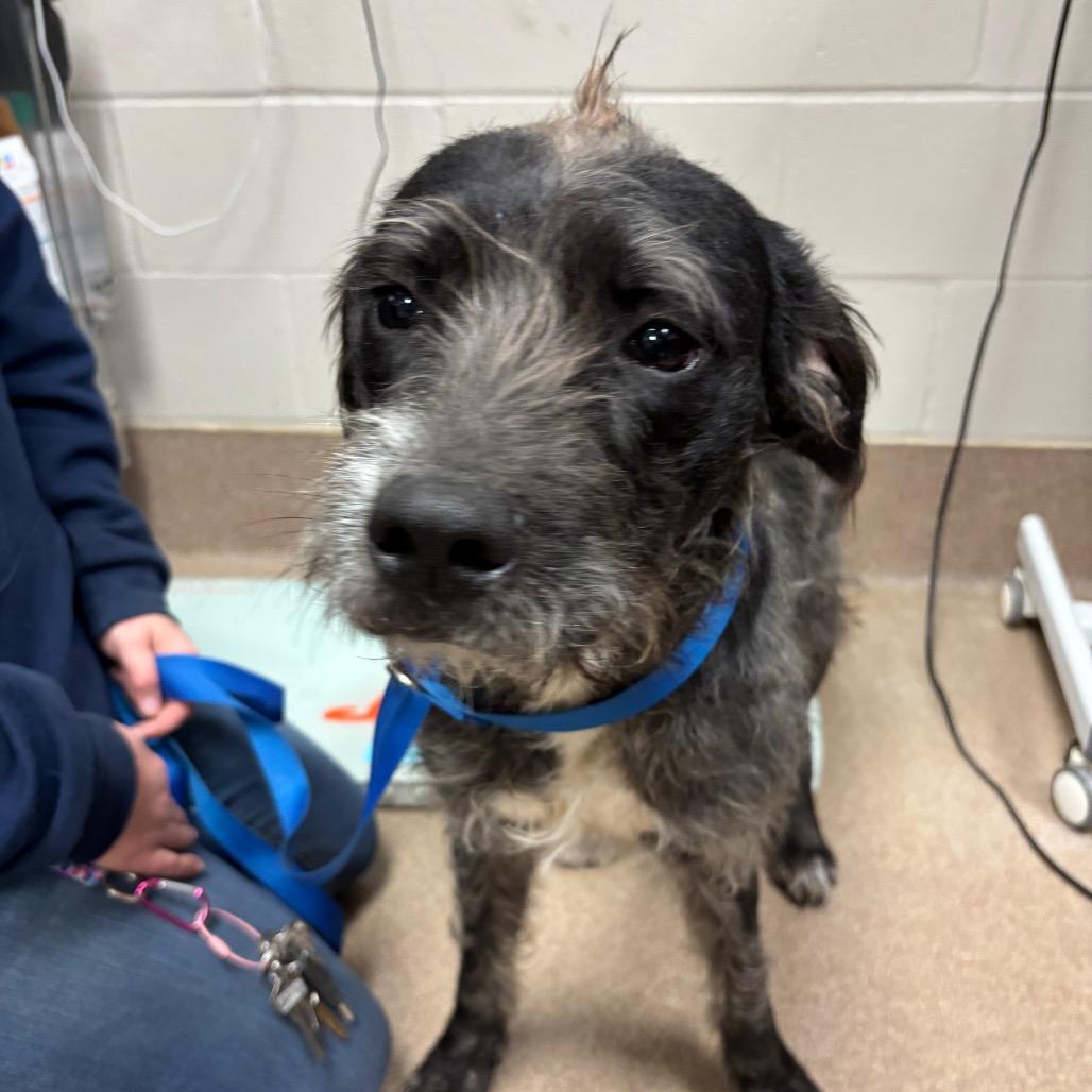 Alfalfa Bubbles — thumbnail 2