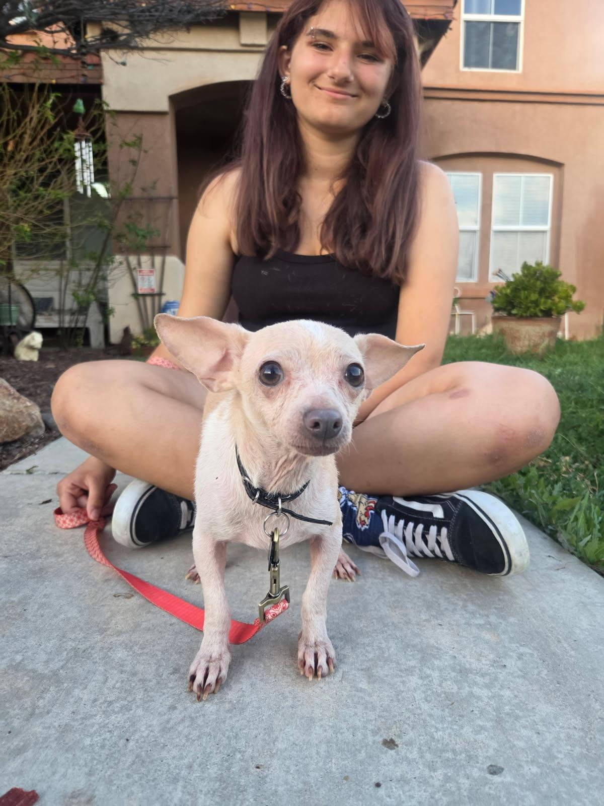 Enlarge Dalia, an adopted mixed breed in Murrieta, CA image 2/6