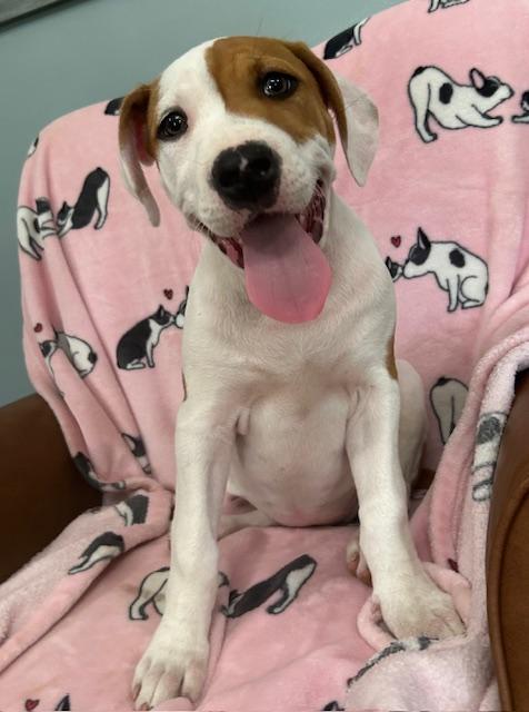 Cuddles Glow — thumbnail 2