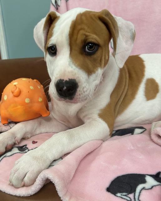 Cuddles Glow — thumbnail 3