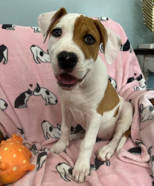 Cuddles Glow — thumbnail 4