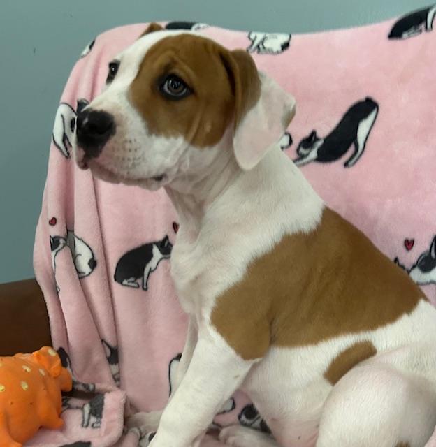 Cuddles Glow — thumbnail 5