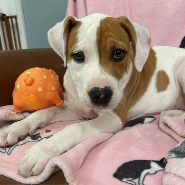 Cuddles Glow — thumbnail 6