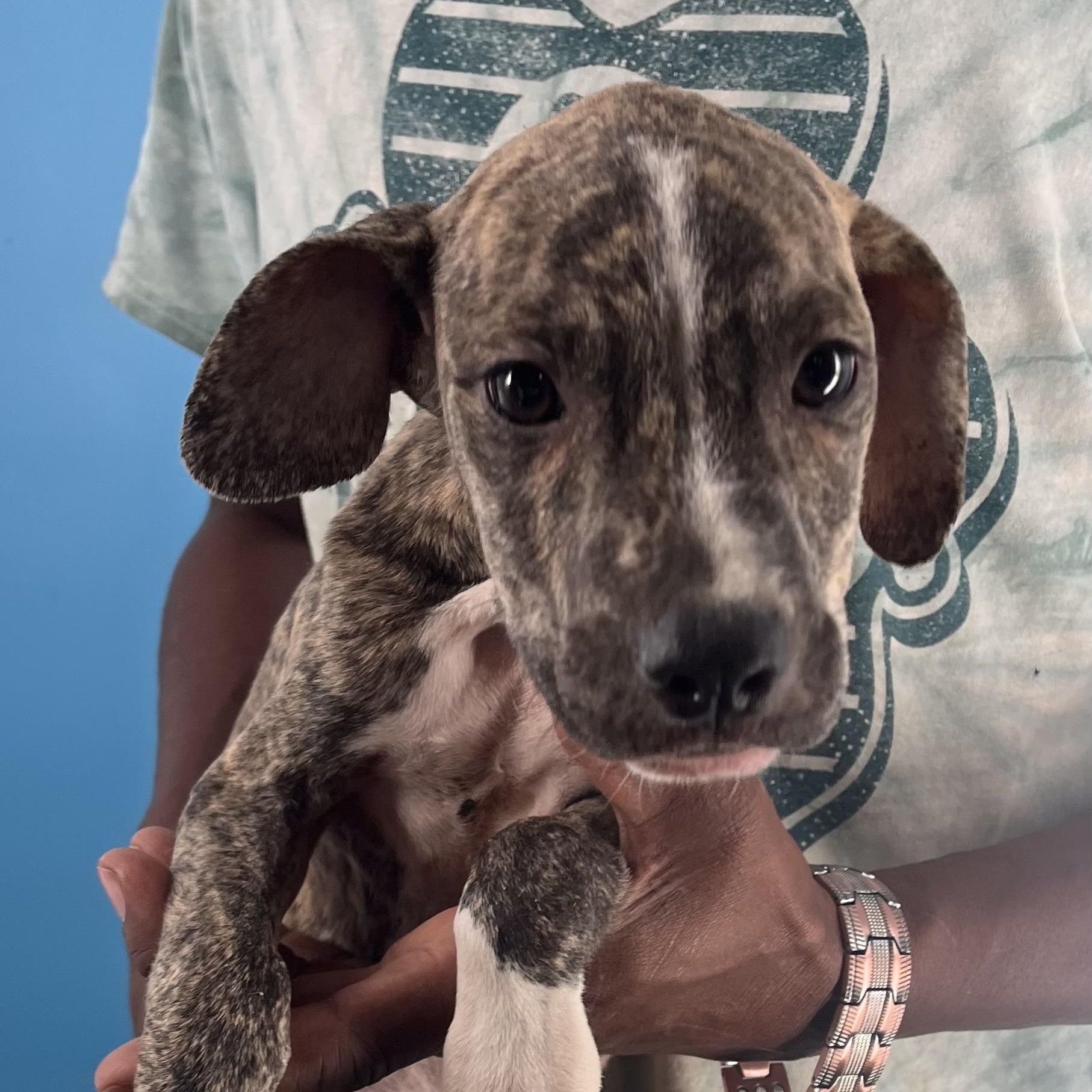 Casey  Local Oct thumbnail 4