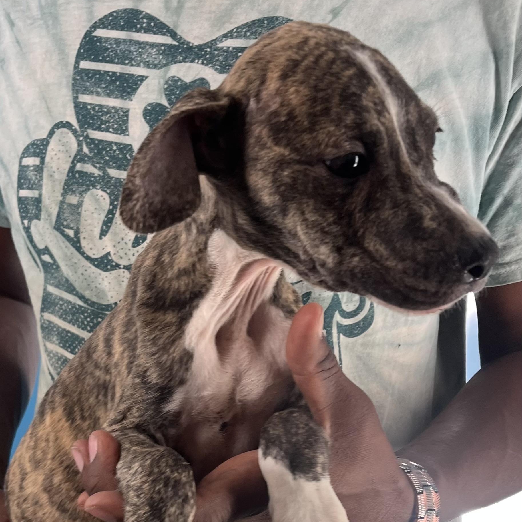 Casey  Local Oct thumbnail 5