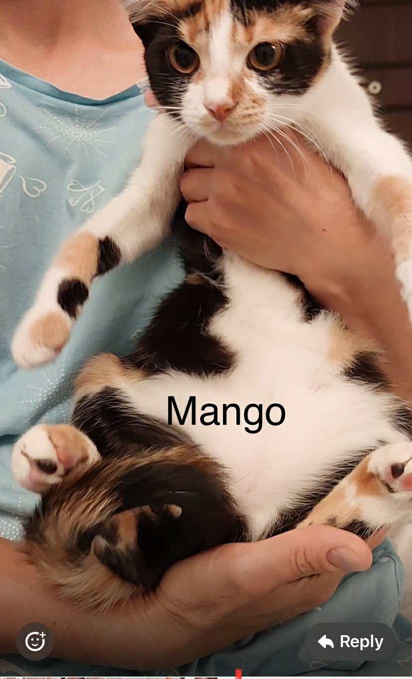 Mango & Rico, 4 months old