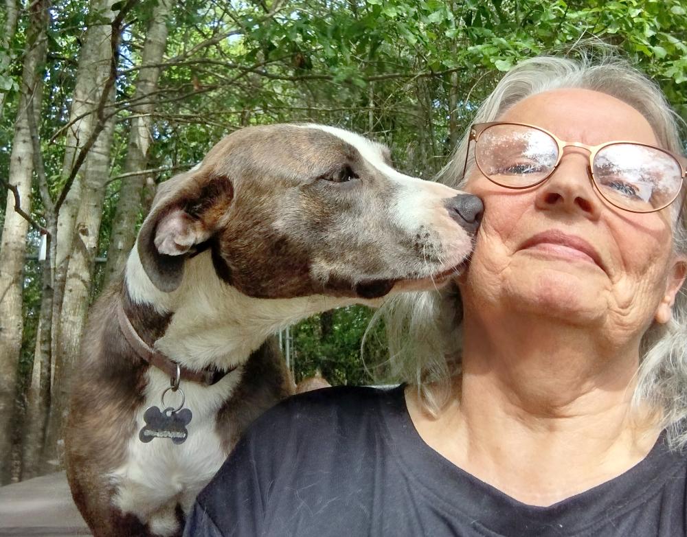 Sammi, a Adopted mixed breed in Camden, SC image 4/6