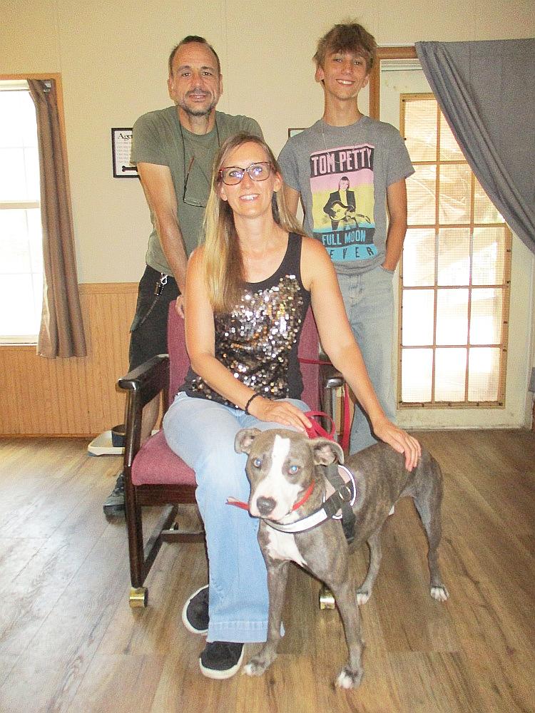 Sammi, a Adopted mixed breed in Camden, SC image 1/6