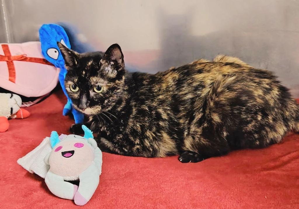 Tasia — thumbnail 3