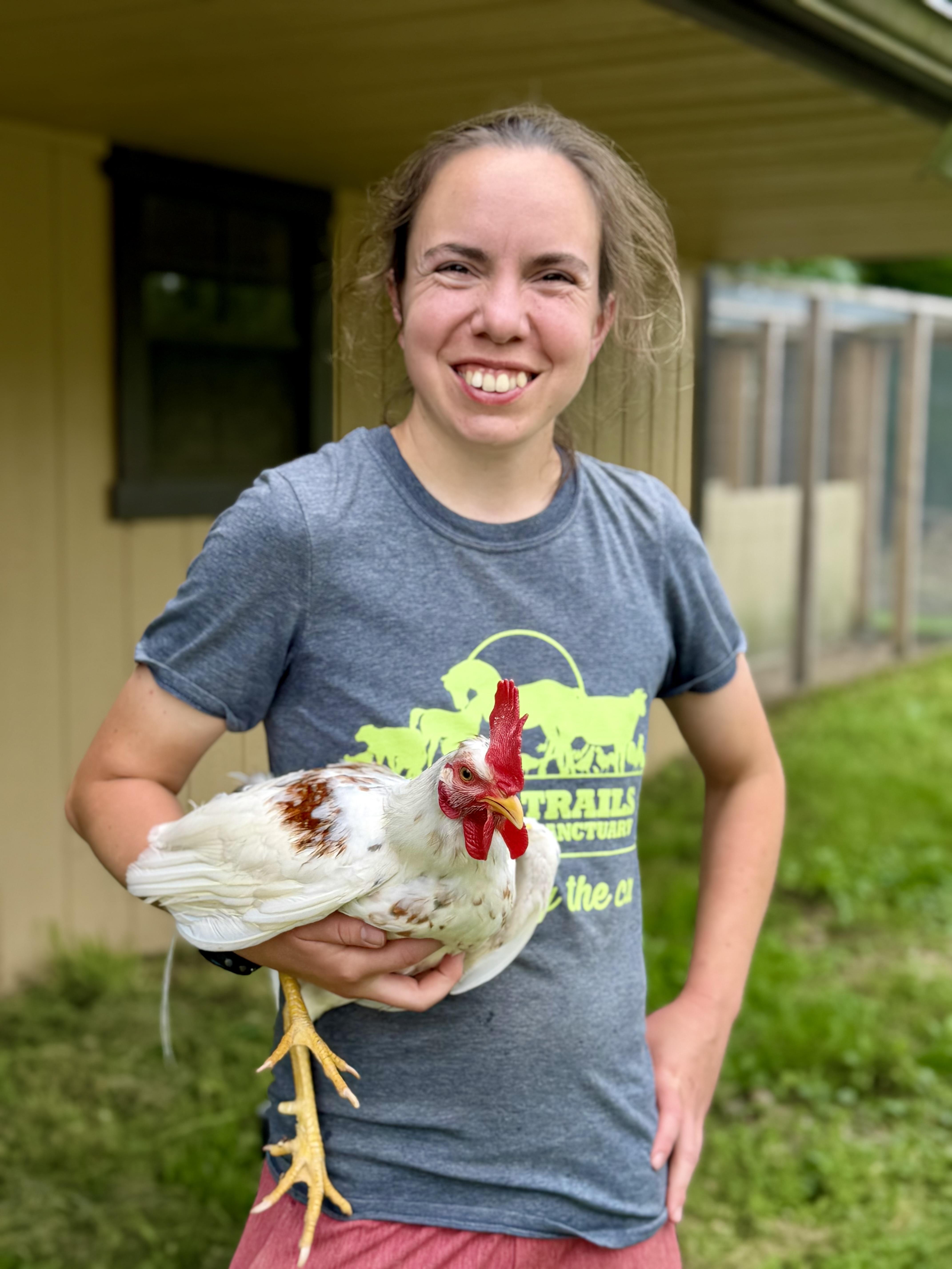 Edward, a Adoptable Chicken in Ravenna, OH image 3/3