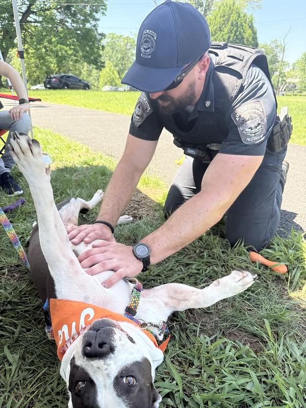 Enlarge Snowball, a Adoptable mixed breed in Chester, PA image 2/6