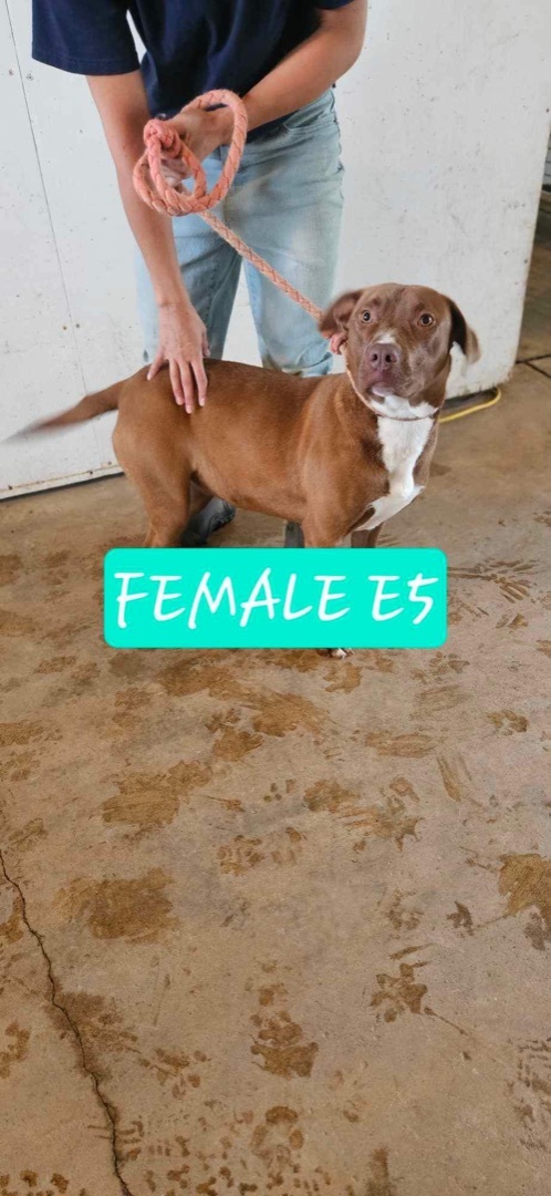E5