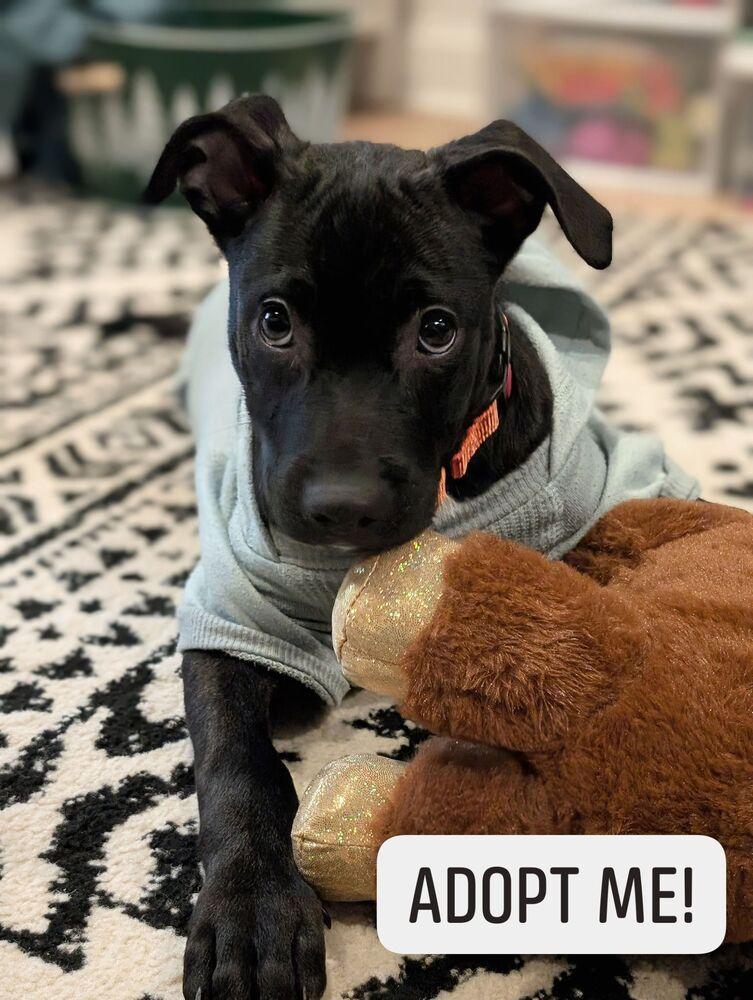 Midnight thumbnail 2