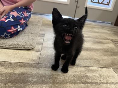 Pablo