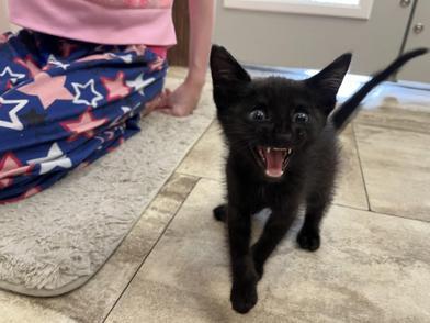 Pablo