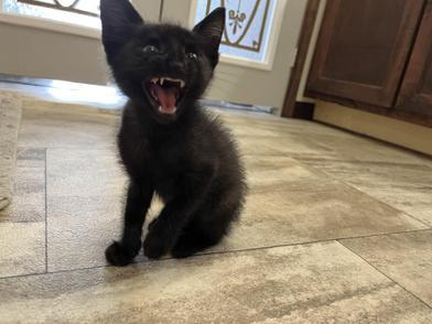 Pablo