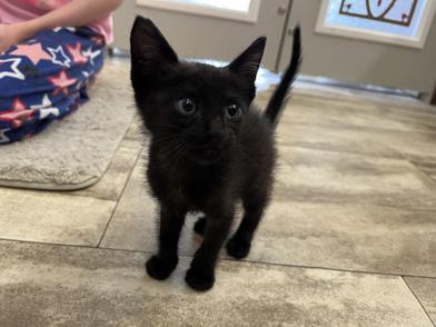 Pablo