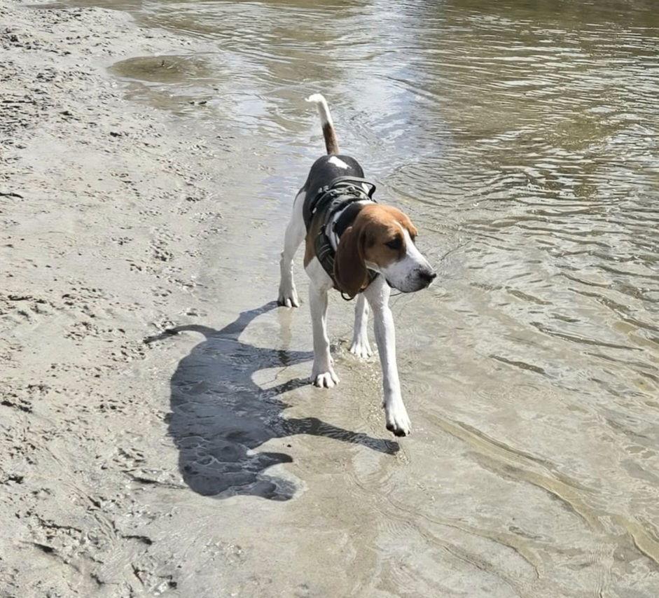 Holly * — thumbnail 2