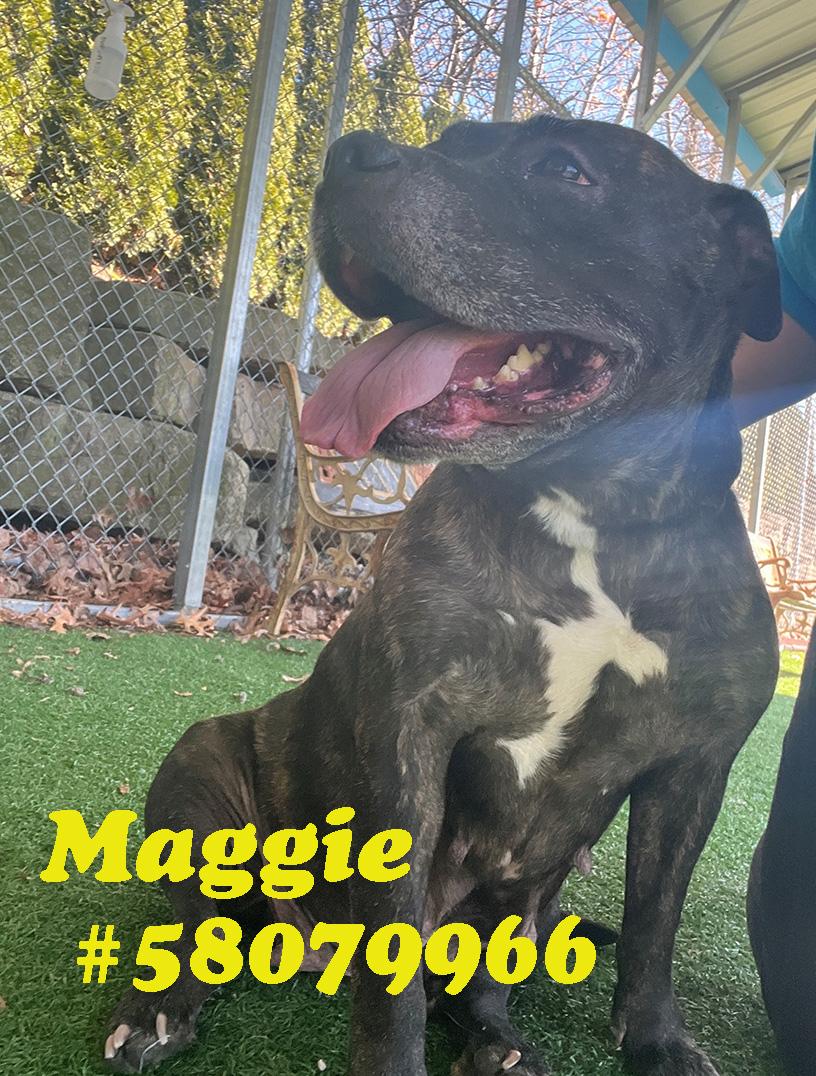 Maggie
