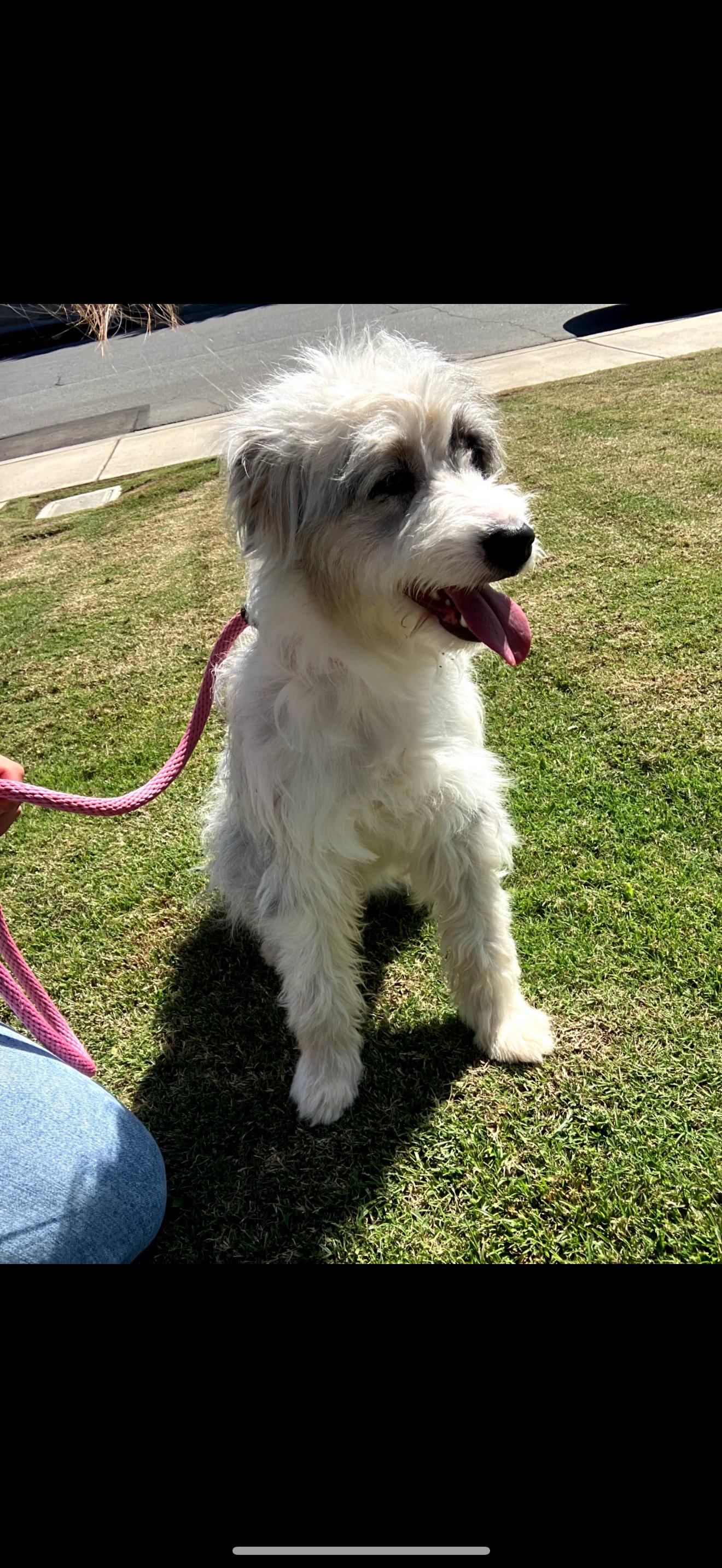 Willow - The Beautiful Baby Girl