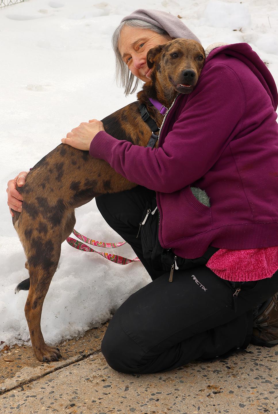 Hannah Banana, an adopted Catahoula Leopard Dog in Harrison, NY image 4/6