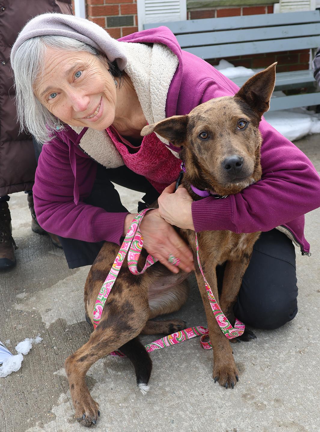 Hannah Banana, an adopted Catahoula Leopard Dog in Harrison, NY image 5/6