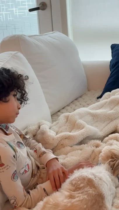 Enlarge LOUIE, a ADOPTABLE mixed breed in Auburn, WA video 6/6