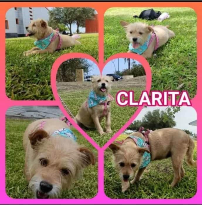 Clarita