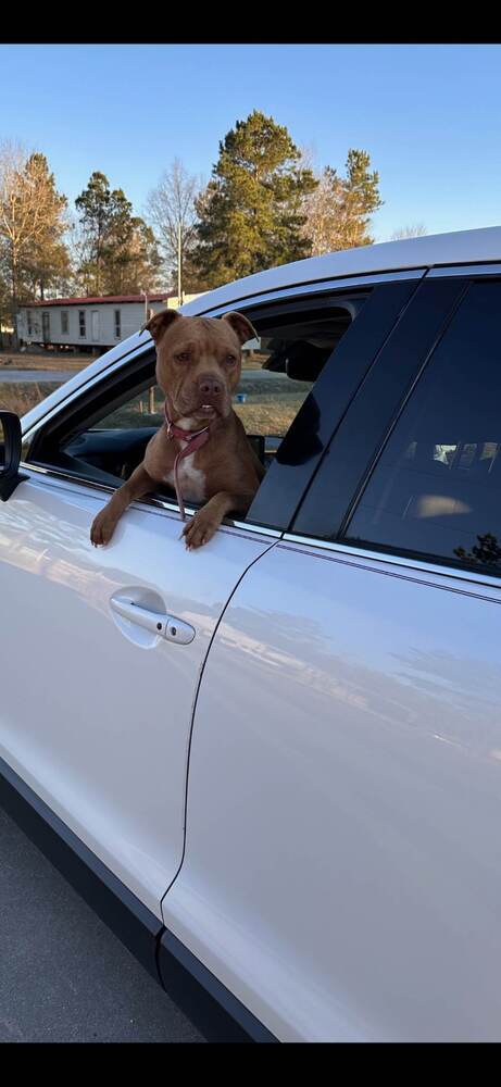Sally - 23226 photo 7