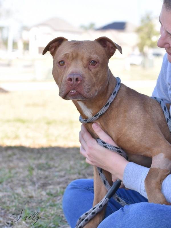 Sally - 23226 photo 6